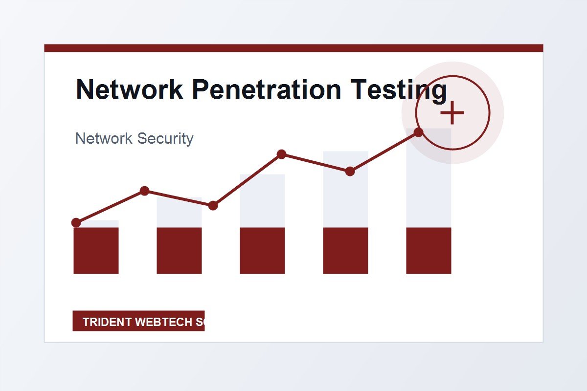 Network Penetration Testing professional service visual for international market positioning