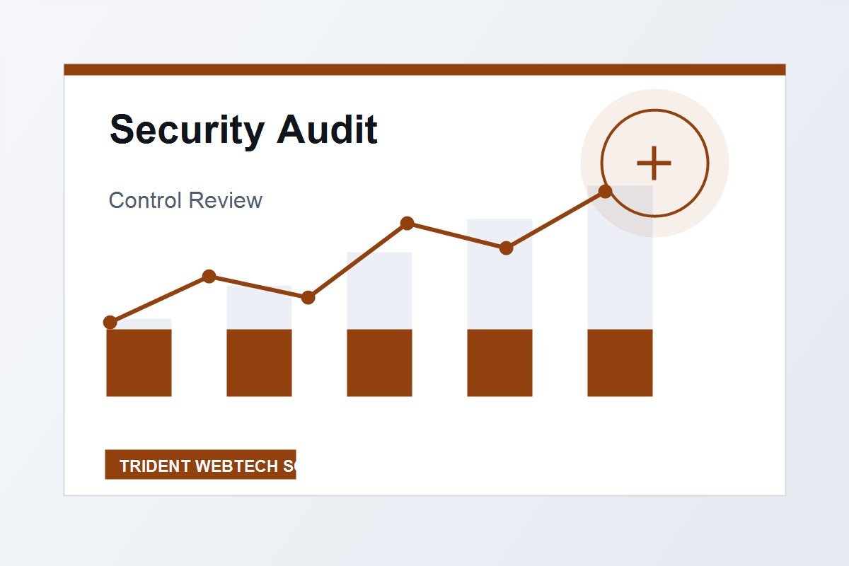 Security Audit professional service visual for international market positioning