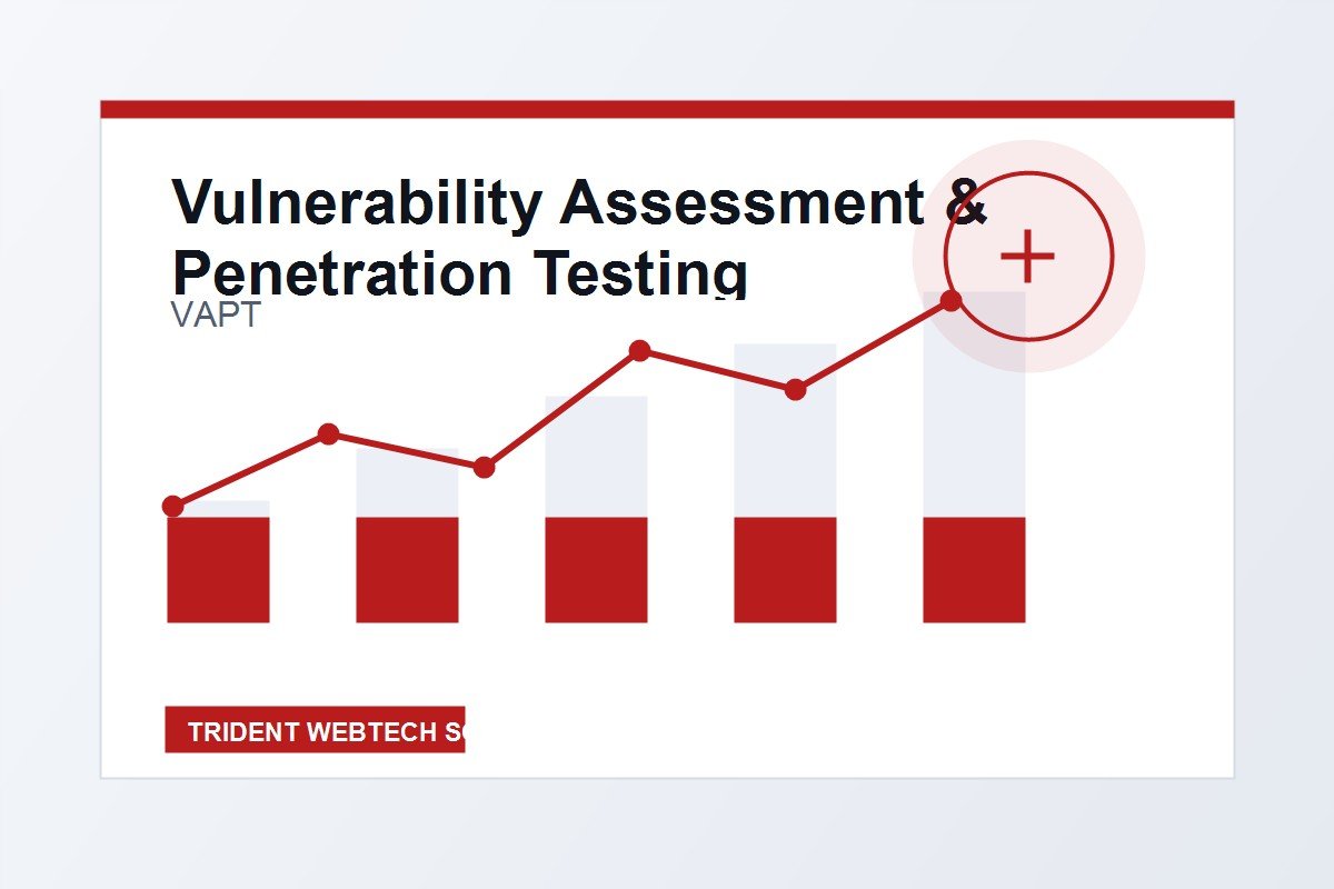 Vulnerability Assessment & Penetration Testing professional service visual for international market positioning